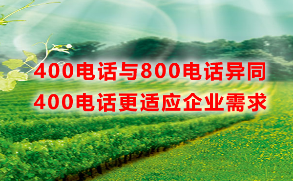 400電話與800電話優勢對比